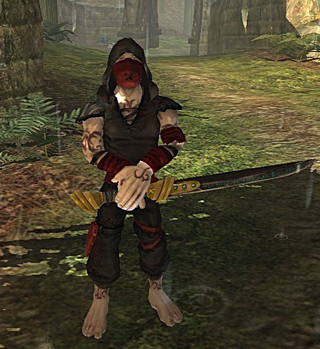 legend of assassin wiki