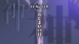 Flag 11.0