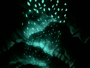 Cave light