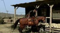 Rdr political realities14