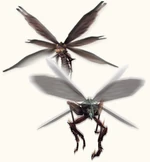Neopterons.jpg