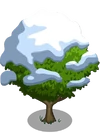 Asian Pear Tree7-icon