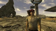Fnv-boone