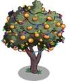 Peach6-icon