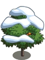 Persimmon7-icon