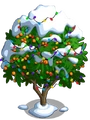 Golden Apricot10-icon