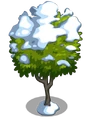 Ponderosa Lemon7-icon