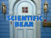Scientificbear.jpg