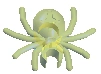 Spider7