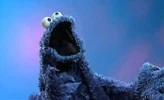 Cookie Monster