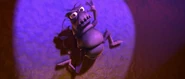 Ptflea0002