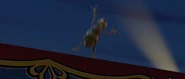 Ptflea0004