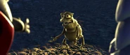Ptflea0005