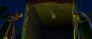 Ptflea0007