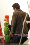 Kermit-Beaker-Zoot-Segel-BTS-Muppets