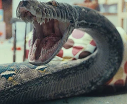 Nagini