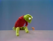 Glow Worm