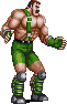 Ffight3 haggar stand-anim
