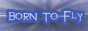 BannerKleinBTF.jpg