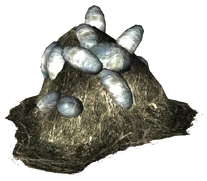 Pile of nightstalker eggs