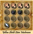 Yellowshieldmushroom.jpg