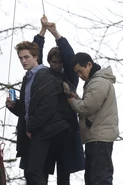 Normal twilight11
