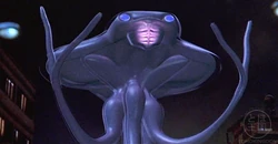 Millennian 1