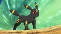 Umbreon de Gary