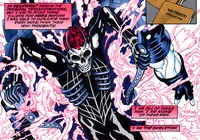 Skeleton