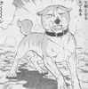 Legendary BearHound Shiro