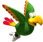 SquawksDKCR-1-