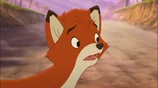 Fox 052
