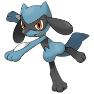 http://images3.wikia.nocookie.net/__cb20110102204226/pokemon/images/thumb/a/a2/447Riolu.png/186px-447Riolu.png