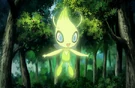 P13 Celebi