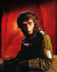 Cornelius2