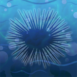 Urchin Fish