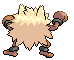 Primeape espalda G5