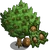 Hazelnut Tree-icon.png