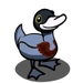 Blue Duck-icon