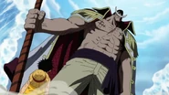 Barbablanca y Luffy 2