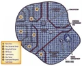 Locus-GOI.jpg