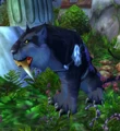 AshenvaleNightsaber.jpg