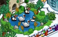 DuckPond