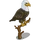 Bald Eagle-icon