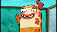 Koi me