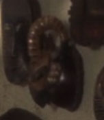 Akaali horned creature