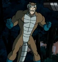 Copperhead SBPE