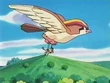 EP106 Pidgeot