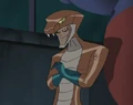 Copperhead DCAU
