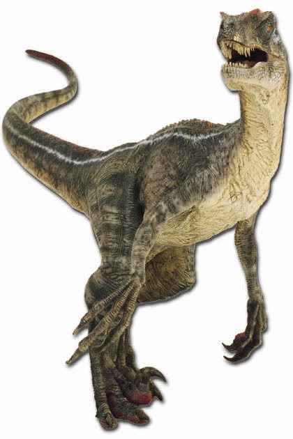 Velociraptor Novel Canon Park Pedia Jurassic Park Dinosaurs 
